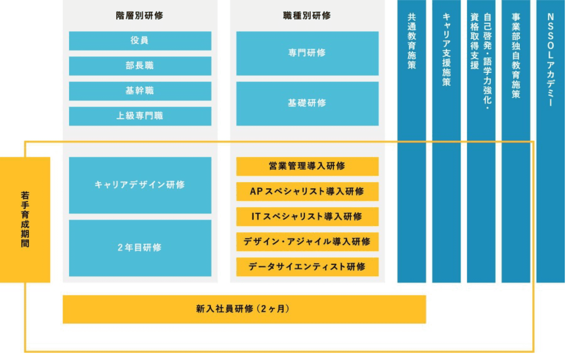 教育研修制度・キャリアパス