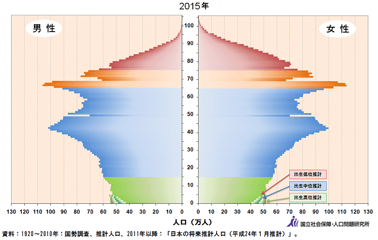 人口ピラミッドデータ 2015年の画像