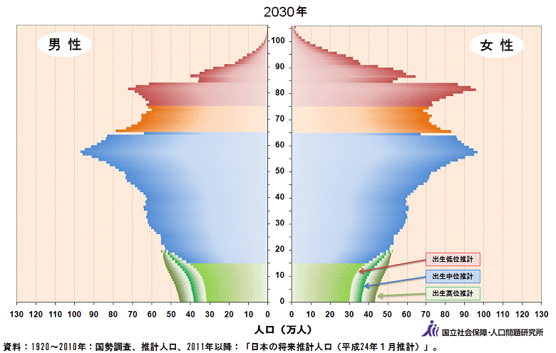 人口ピラミッドデータ 2030年の画像